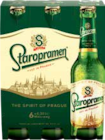 Aktuelles Staropramen Angebot bei aktiv & irma in Oldenburg ab 4,79 €