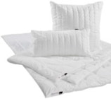 Aktuelle Kopfkissen Angebote bei XXXLutz Möbelhäuser in Hildesheim Aktuelles Ganzjahresbett Angebot bei XXXLutz Möbelhäuser in Hildesheim ab 29,99 €