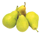 Poire Guyot à Provenc’halles dans Saint-Barthélémy-Lestra Poire Guyot à Provenc’halles dans Saint-Barthélémy-Lestra