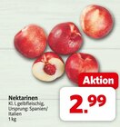 Aktuelles Nektarinen Angebot bei Markant Nordwest in Bielefeld ab 2,99 €