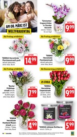 Aktueller E center Prospekt mit Tulpen, "Aktuelle Angebote", Seite 11