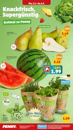 Wassermelone Angebot im aktuellen Penny-Markt Prospekt auf Seite 2