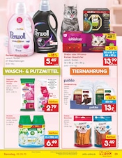 Aktueller Netto Marken-Discount Prospekt mit Tierfutter, "Aktuelle Angebote", Seite 41
