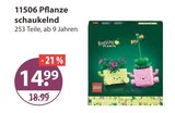 Aktuelles 11506 Pflanze schaukelnd Angebot bei V-Markt in Augsburg ab 14,99 €