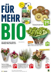 Ähnliche Angebote wie Zitronenbaum im Prospekt "Aktuelle Angebote" auf Seite 5 von EDEKA in Ravensburg