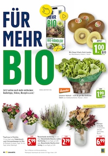 Pflanzen im EDEKA Prospekt "Aktuelle Angebote" mit 83 Seiten (Reutlingen)