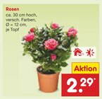 Rosen im Angebot bei Netto Marken-Discount in Recklinghausen Rosen Angebote bei Netto Marken-Discount Recklinghausen für 2,29 €