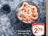 Aktuelle Garnelen Angebote bei GLOBUS in Ludwigshafen (Rhein) Aktuelles Riesengarnelen Aioli oder Dill Angebot bei GLOBUS in Ludwigshafen (Rhein) ab 2,79 €