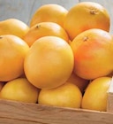 Intermarché Saint-Héand - Promo Pomelo à chair rouge Promo Pomelo à chair rouge à 1,50 € dans le catalogue Intermarché à Saint-Héand