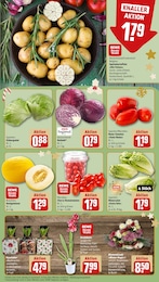 REWE Orchidee im Prospekt REWE Orchidee im Prospekt