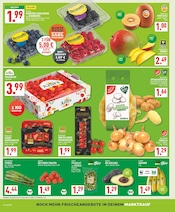 Tomaten im Marktkauf Prospekt in Dülmen Aktueller Marktkauf Prospekt mit Tomaten, "Aktuelle Angebote", Seite 2