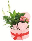 Promo Plantes et compositions florales "originales" à 22,99 € dans le catalogue Cora à Larringes