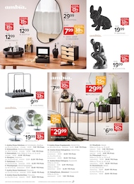 Blumentopf Angebot im aktuellen XXXLutz Möbelhäuser Prospekt auf Seite 14