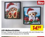 Angebot im toom Baumarkt Friedrichsdorf Prospekt toom Baumarkt Friedrichsdorf Prospekt mit  im Angebot für 14,99 €