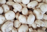 Champignon blanc à Supeco dans Les Islettes