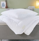 Aktuelle Kissen Angebote bei JYSK in Stuttgart Aktuelles Kissen Angebot bei JYSK in Stuttgart ab 22,50 €