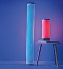 LED- Stehleuchte für 14,99 € bei Netto mit dem Scottie im Angebot LED- Stehleuchte im aktuellen Netto mit dem Scottie Prospekt