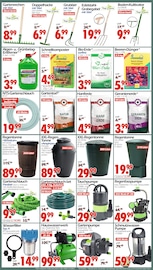 WC im Wreesmann Prospekt in Dessau-Roßlau Aktueller Wreesmann Prospekt mit WC, "DEIN SAISON- & SONDERPOSTENMARKT!", Seite 5