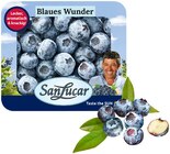 Heidelbeeren Jumbo Angebote von SanLucar bei REWE Schwäbisch Hall für 2,49 €