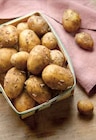 Pomme de terre primeur igp de noirmoutier ou aop de l'île de ré - Intermarché à Hyères Pomme de terre primeur igp de noirmoutier ou aop de l'île de ré en promo chez Intermarché Hyères à 3,99 €