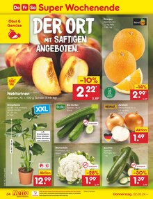 Gartenpflanzen im Netto Marken-Discount Prospekt "Aktuelle Angebote" mit 50 Seiten (Halle (Saale))