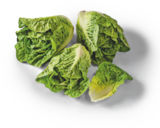 Bio-Salatherzen Angebote von tegut bei tegut Erfurt für 1,99 €