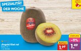 Kiwi rot im Angebot bei Netto Marken-Discount in Kassel Kiwi rot Angebote von Jingold bei Netto Marken-Discount Kassel für 1,49 €