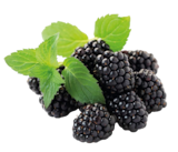 REWE Hürth - Brombeeren Angebot im Prospekt Brombeeren bei REWE im Hürth Prospekt für 3,99 €