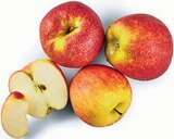 Tafeläpfel Wellant im Angebot bei Markant Nordwest in Emden Tafeläpfel Wellant Angebote bei Markant Nordwest Emden für 1,49 €