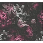 POCO - A.S.Creation Vliestapete Floral Angebot im Prospekt A.S.Creation Vliestapete Floral bei POCO im Prospekt "" für 14,99 €