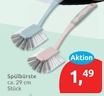 Spülbürste für 1,49 € bei budni im Angebot Spülbürste im aktuellen budni Prospekt