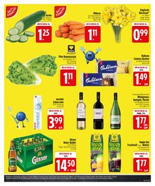 Bier im EDEKA Prospekt "Wir lieben Lebensmittel." mit 30 Seiten (Germering)