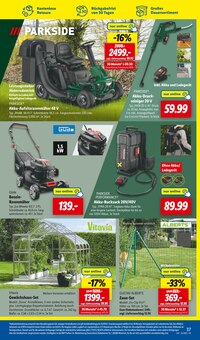 Blumentopf Angebot im aktuellen Lidl Prospekt auf Seite 51