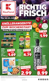 Aktueller Kaufland Prospekt, "KNÜLLER", mit Angeboten der Woche, gültig von 22.09.2025 bis 22.09.2025