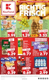 Tierfutter im Kaufland Prospekt in Delmenhorst Aktueller Kaufland Prospekt mit Tierfutter, "Aktuelle Angebote", Seite 1