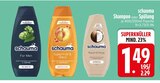 For Men Angebote von schauma bei EDEKA Germering für 1,49 €