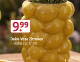 Deko-Vase Zitronen  im aktuellen Rossmann Prospekt für 9,99 €
