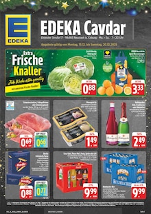 Aktueller EDEKA Prospekt für Neustadt (Coburg) und Ungebung, Seiten zum blättern EDEKA Prospekt Wir lieben Lebensmittel! mit Seiten in Neustadt (Coburg) und Umgebung