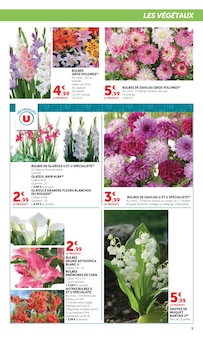 Promotion Arbre Fruitier dans le prospectus Hyper U, valable du 16/02/2026 au 15/03/2026 Promo Arbre Fruitier dans le catalogue Hyper U du moment à la page 9