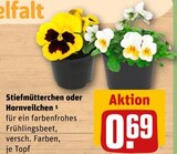 Stiefmütterchen oder Hornveilchen von  im aktuellen REWE Prospekt für 0,69 €