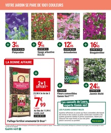 Prix et réduction Bougainvillier dans le prospectus Gamm vert en cours Offre Bougainvillier dans le catalogue Gamm vert du moment à la page 4