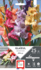 Mélange glaïeuls à grandes fleurs dans le catalogue Truffaut