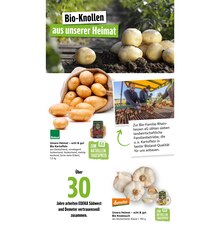 Kartoffeln im Marktkauf Prospekt "Aktuelle Angebote" mit 99 Seiten (Freiburg (Breisgau))