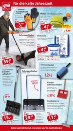 Pflanzen im Sonderpreis Baumarkt Prospekt in Rheine Aktueller Sonderpreis Baumarkt Prospekt mit Pflanzen, "Aktuelle Angebote", Seite 12