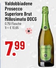 Trinkgut Cham - Valdobbiadene Prosecco Superiore Brut Millesimato DOCG Angebot im Prospekt Valdobbiadene Prosecco Superiore Brut Millesimato DOCG bei Trinkgut im Cham Prospekt für 7,99 €