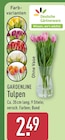 Tulpen Angebote von Gardenline bei ALDI Nord Altenburg für 2,49 €