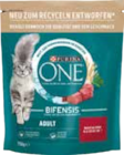 One Katzennahrung von Purina im aktuellen EDEKA Prospekt für 3,29 €