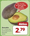 combi Werlte - Avocados Angebot im Prospekt Avocados bei combi im Werlte Prospekt für 2,79 €