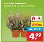 dreifarbige Besenheide im Angebot bei Netto Marken-Discount in Aschaffenburg dreifarbige Besenheide Angebote bei Netto Marken-Discount Aschaffenburg für 4,99 €