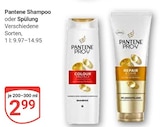 Shampoo bei GLOBUS im Limburg Prospekt für 2,99 €
